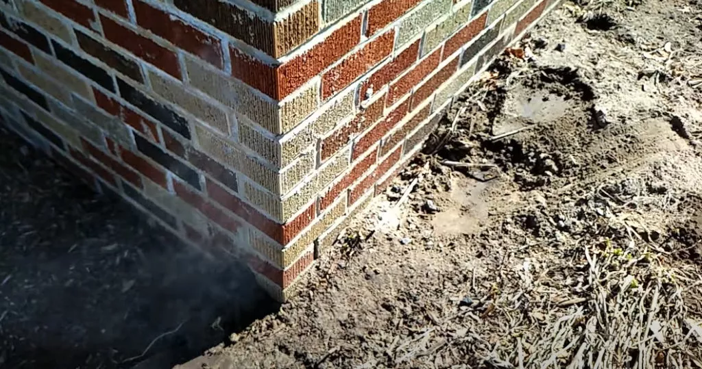 animal digging holes around foundation